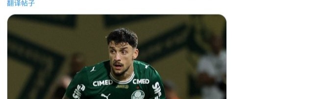 AG体育官方入口-战英格兰受伤，帕尔梅拉斯官方：乌拉圭后卫皮克雷斯脚踝韧带撕裂